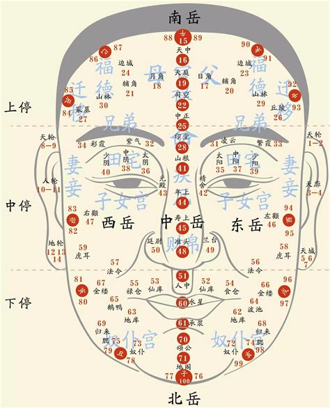 面相流年圖|面相